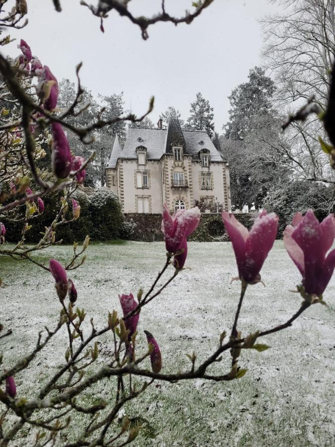 Chateau Maleplane Bed & Breakfast Saint-Leonard-de-Noblat Exterior photo