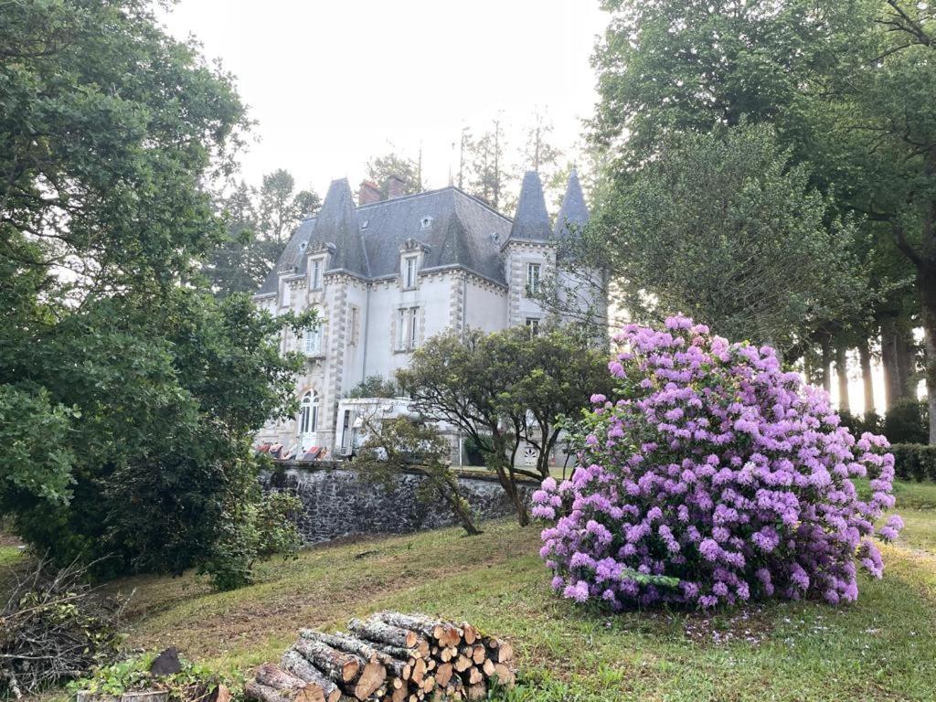 Chateau Maleplane Bed & Breakfast Saint-Leonard-de-Noblat Exterior photo