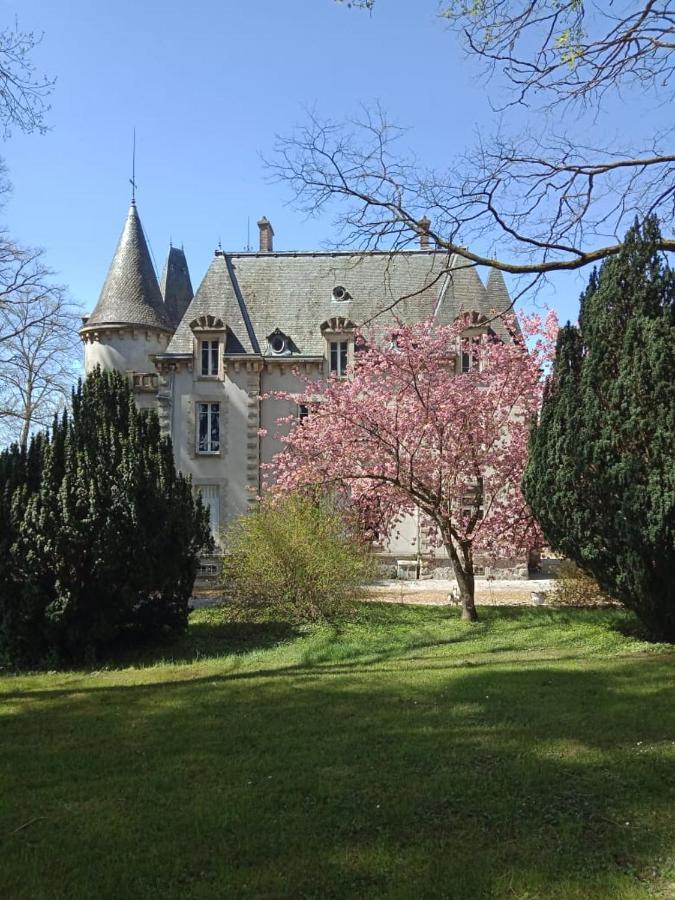 Chateau Maleplane Bed & Breakfast Saint-Leonard-de-Noblat Exterior photo