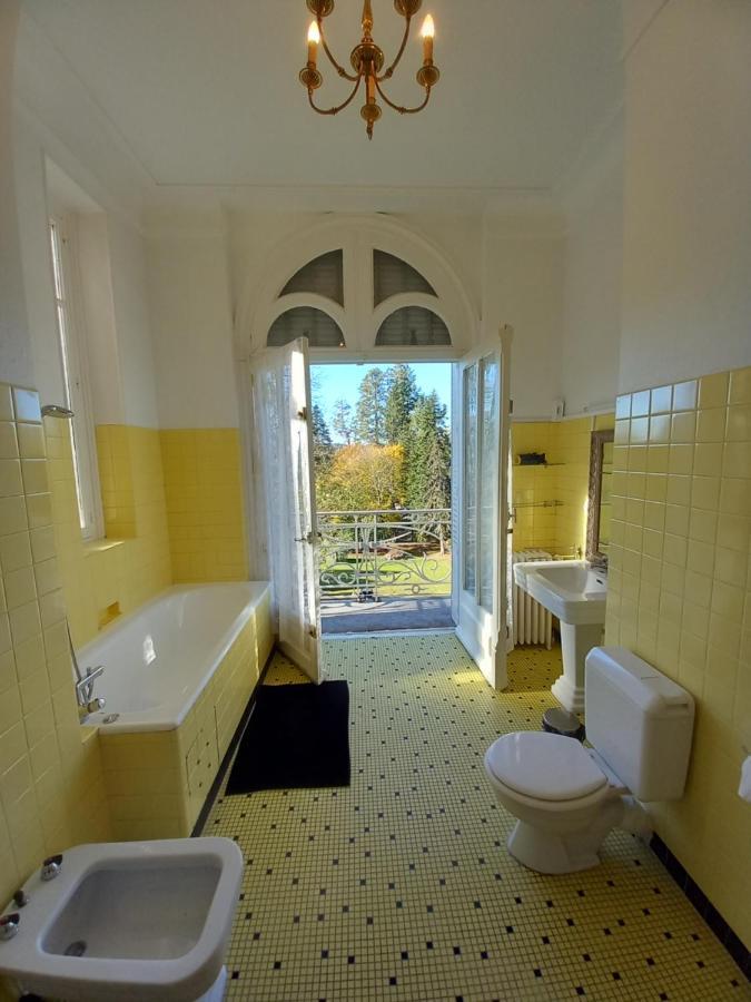 Chateau Maleplane Bed & Breakfast Saint-Leonard-de-Noblat Exterior photo