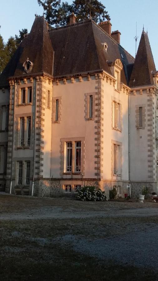 Chateau Maleplane Bed & Breakfast Saint-Leonard-de-Noblat Exterior photo
