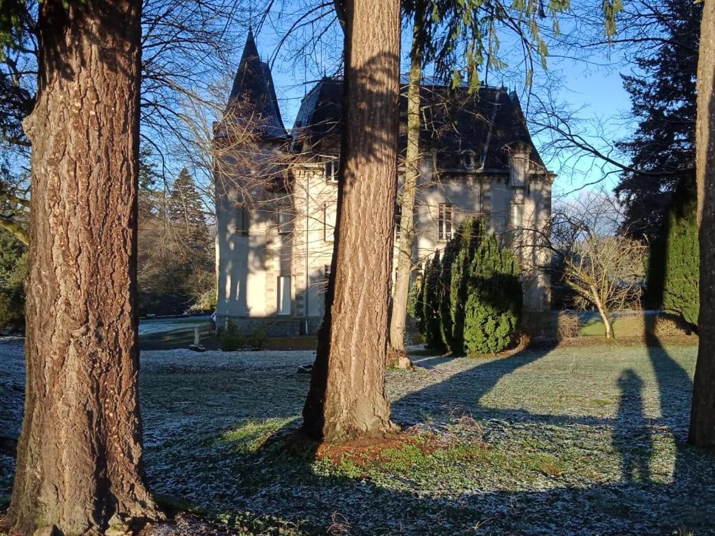 Chateau Maleplane Bed & Breakfast Saint-Leonard-de-Noblat Exterior photo